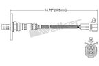 Walker 250-24051 Oxygen Sensor - Downstream or Upstream - view 3
