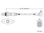 Walker 250-24051 Oxygen Sensor - Downstream or Upstream - view 2