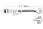 Walker 250-24075 Oxygen Sensor - Downstream Front or Downstream Rear - view 2