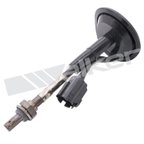 Walker 250-24081 Oxygen Sensor - Downstream - view 1