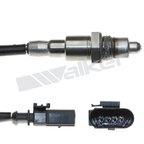 Walker 250-241203 Oxygen Sensor - Center or Downstream - view 5