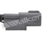 Walker 250-241283 Oxygen Sensor - view 4