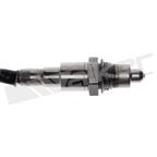 Walker 250-241336 Oxygen Sensor - Downstream - view 2