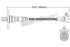 Walker 250-24150 Oxygen Sensor - Downstream or Upstream - view 2
