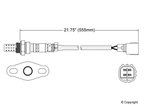 Walker 250-24153 Oxygen Sensor - Downstream or Upstream - view 2