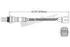 Walker 250-24169 Oxygen Sensor - view 3