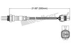 Walker 250-24202 Oxygen Sensor - Downstream Left - view 2