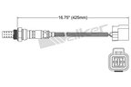 Walker 250-24228 Oxygen Sensor - Center or Upstream - view 2