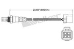 Walker 250-24237 Oxygen Sensor - Downstream or Upstream - view 2