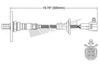 Walker 250-24281 Oxygen Sensor - Downstream or Upstream - view 2