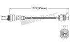 Walker 250-24339 Oxygen Sensor - view 2