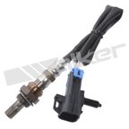 Walker 250-24355 Oxygen Sensor - view 1