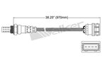 Walker 250-24428 Oxygen Sensor - Downstream - view 3