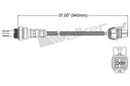 Walker 250-24443 Oxygen Sensor - Downstream - view 2