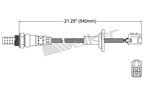 Walker 250-24486 Oxygen Sensor - Downstream or Upstream - view 2