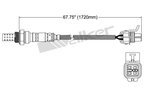 Walker 250-24616 Oxygen Sensor - Downstream - view 2