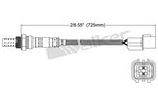Walker 250-24631 Oxygen Sensor - Upstream or Upstream Right - view 3
