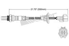 Walker 250-24653 Oxygen Sensor - Downstream - view 2