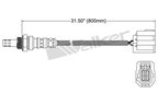 Walker 250-24661 Oxygen Sensor - Downstream - view 2