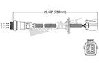 Walker 250-24664 Oxygen Sensor - Downstream - view 2