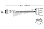 Walker 250-24719 Oxygen Sensor - Upstream - view 2