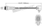 Walker 250-24724 Oxygen Sensor - Downstream Front - view 2