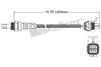 Walker 250-24736 Oxygen Sensor - view 2