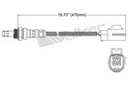 Walker 250-24776 Oxygen Sensor - Upstream - view 2
