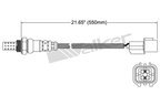 Walker 250-24779 Oxygen Sensor - Downstream or Upstream - view 2