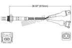 Walker 250-24820 Oxygen Sensor - Upstream - view 2