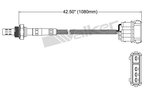 Walker 250-24823 Oxygen Sensor - Upstream - view 2