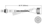 Walker 250-24824 Oxygen Sensor - Upstream - view 2