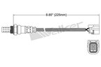 Walker 250-24833 Oxygen Sensor - Downstream or Downstream Front - view 2