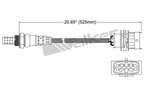 Walker 250-24847 Oxygen Sensor - Upstream - view 2