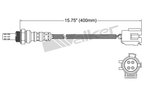 Walker 250-24942 Oxygen Sensor - view 2