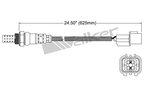 Walker 250-24988 Oxygen Sensor - Downstream or Upstream - view 2