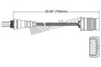 Walker 250-24991 Oxygen Sensor - Downstream - view 2