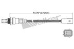 Walker 250-24996 Oxygen Sensor - Downstream - view 2