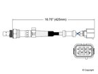 Walker 250-25001 Oxygen Sensor - Upstream Front or Upstream Rear - view 2