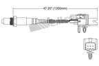 Walker 250-25006 Oxygen Sensor - Upstream, Upstream Left or Upstream Right - view 2