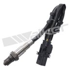 Walker 250-25026 Oxygen Sensor - view 1