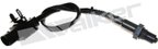 Walker 250-25034 Oxygen Sensor - view 1