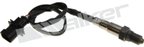 Walker 250-25109 Oxygen Sensor - Upstream, Upstream Left or Upstream Right - view 1