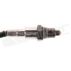 Walker 250-25181 Oxygen Sensor - Upstream Left or Upstream Right - view 2