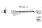 Walker 250-54086 Oxygen Sensor - Upstream or Upstream Right - view 2