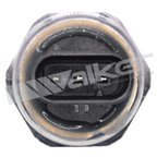 Walker 256-1028 Engine Oil Pressure Switch - view 3