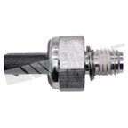 Walker 256-1028 Engine Oil Pressure Switch - view 4