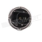 Walker 256-1049 Engine Oil Pressure Switch - view 1