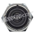 Walker 256-1084 Engine Oil Pressure Switch - view 3
