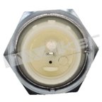 Walker 256-1124 Engine Oil Pressure Switch - view 3